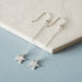 Star Hook Earrings